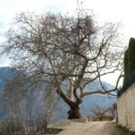 Pamje fantastike : Një shëtitje në fshatrat e Vlorës (Foto)