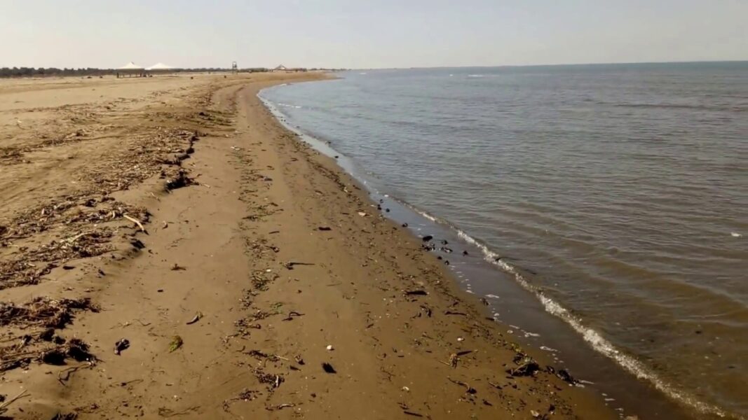 RASTI MË I RRALLË QË KA NDODHUR NË SHQIPËRI! NË DIVJAKË GJENDET KAFSHA 110 MILIONË VJEÇARE
