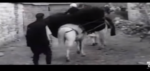 Qyteti që u zhduk nga harta(Video)