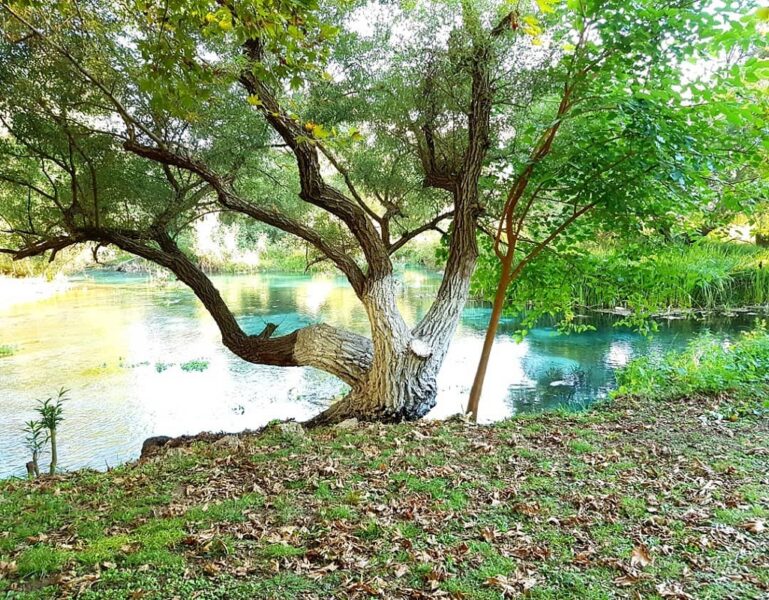 Ky Tragjasi në një brinjë si qytet, është i ndarë në katër lagje me lezet ! Nga Agim Xhuveli