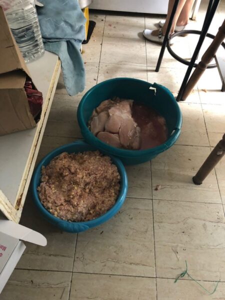 E frikshme çfarë hanë shqiptarët! Ja ku përpunohej dhe tregtohej mishi (Foto)