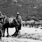 Shqipëria e kuislingëve