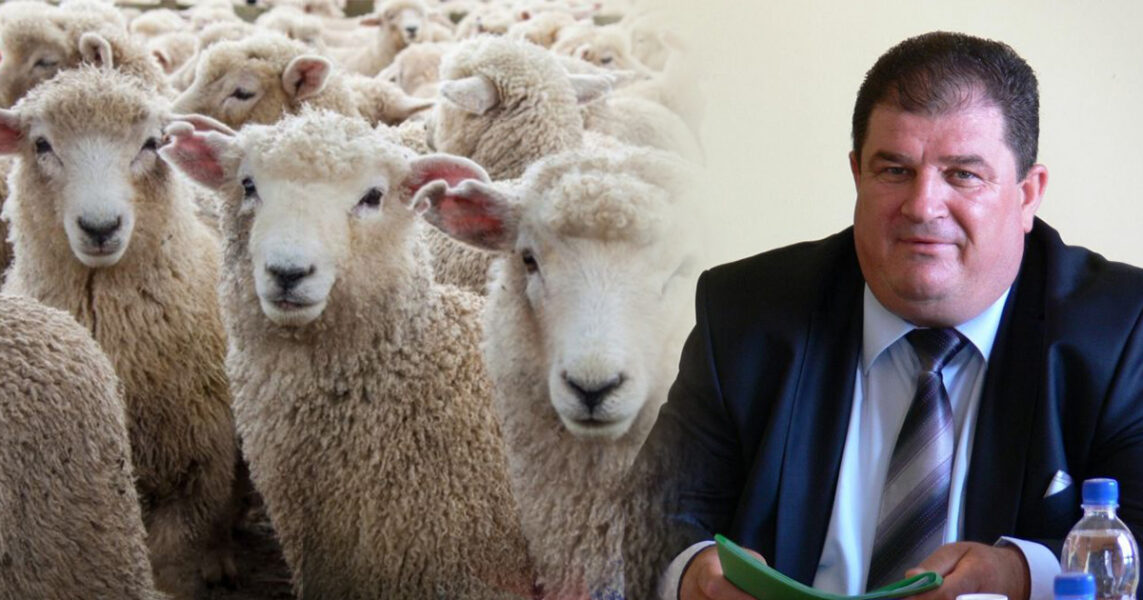 Njihuni me pasurinë e deputetit Dritan Bici, nga agronom kooperative, bujk, blegtor në sheik