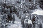 Çamët, Ismail Qemalit: Të vetëm në luftë