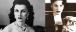 Gruaja më e bukur në botë, Princesha shqiptare Fevzia