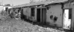 Historitë e panjohura në kampin e Tepelenës/ Dëshmia: Kapteri ndiqte pas vajzat dhe nuset e reja dhe…