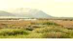Laguna e Orikumit, një mrekulli për turistët dhe një mi ster për arkeologët
