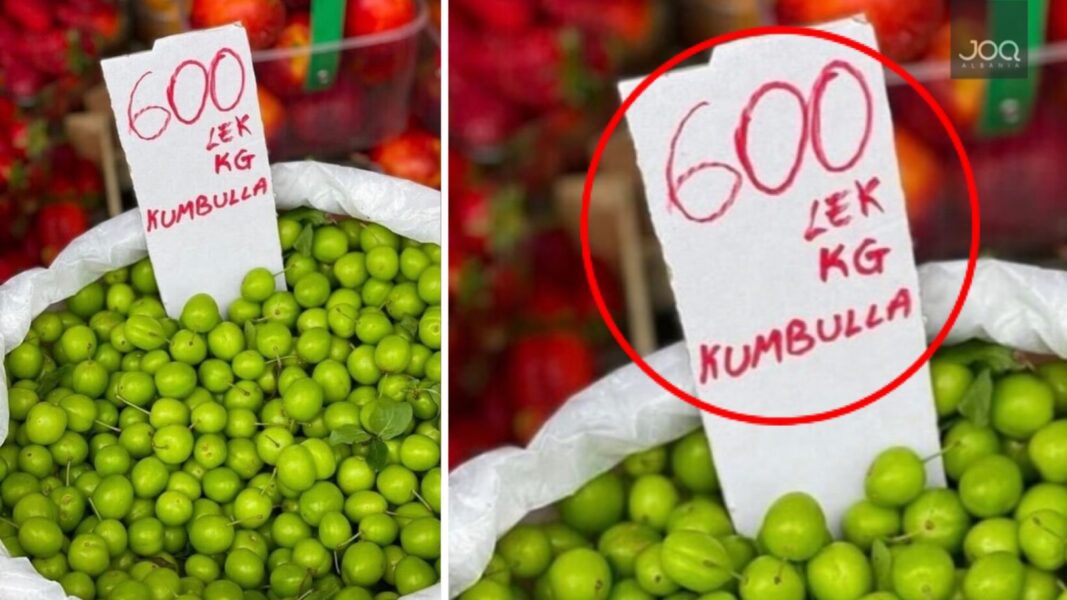 Në Shqipëri 1 kg kumbulla jeshile shitet 6 mijë lek të vjetra