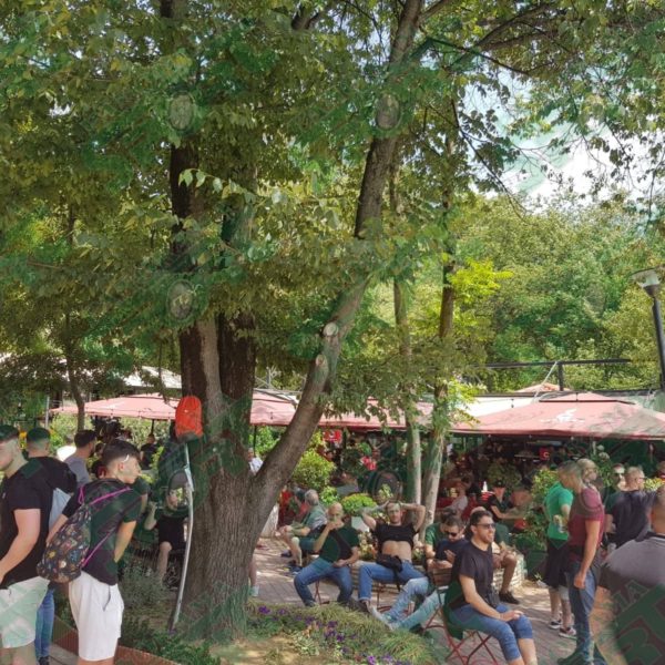 Përpl asje të ash pra në pedonalen e Tiranës, holandezët pla gosin një shqiptar, detaje…