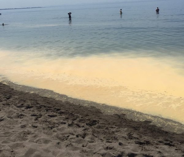 Çfarë po ndodh në Gjirin e Lalzit? Bregdeti ‘pu shtohet’ nga…