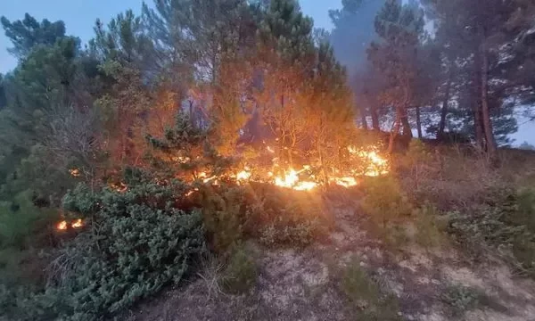 Fier/ Përfshihen nga fl akët kodrat e rreth Libofshës