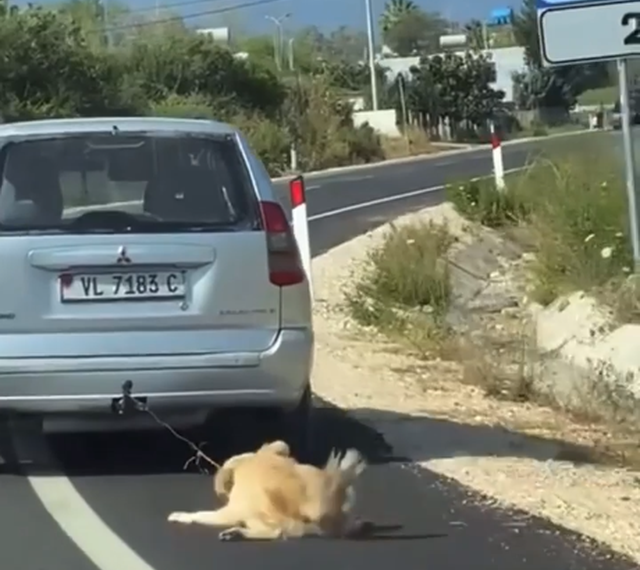 T ronditëse/ ‘M onstra’ nga Vlora l idh qenin tek makina dhe e t ërheq zvarrë në rrugë