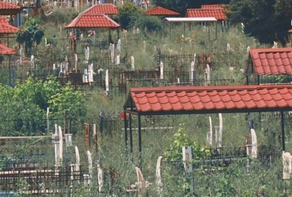 E trishtë! Gjarpërinjtë dhe ferrat ‘pushtojnë’ varrezat e qytetit