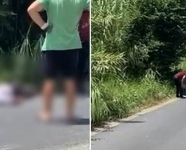 Makina përplas të moshuarën në mes të rrugës, drejtuesi i mjetit ikën nga vendngjarja