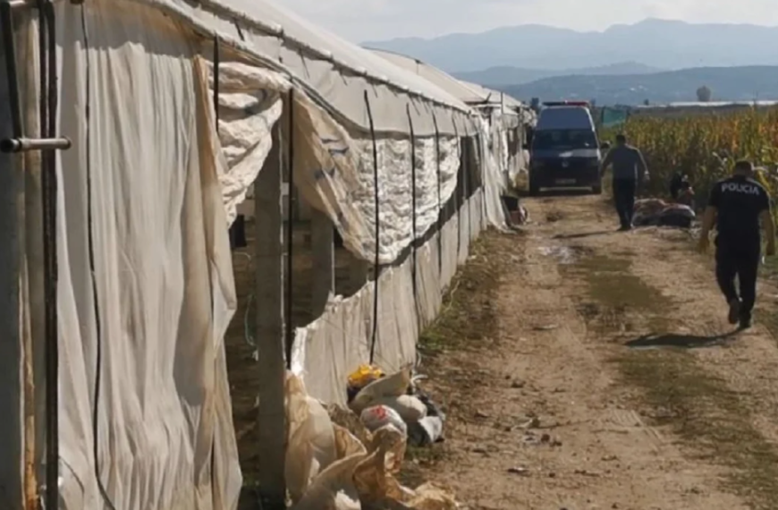 Shiti bagëtitë dhe mbolli hashash, i moshuari: Nuk kisha me çfarë të paguaja operacionin