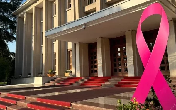 ‘Tetori Rozë’, Zonja e Parë e Shqipërisë: ‘Moment për reflektim! Bashkë edhe në këtë sfidë të jetës’