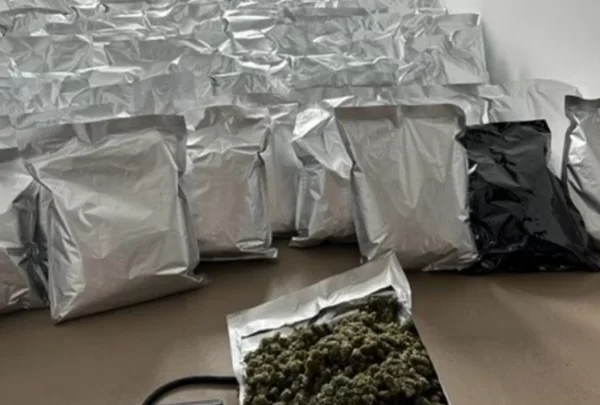 Operacioni në Gjermani, 23 shqiptarë të arrestuar