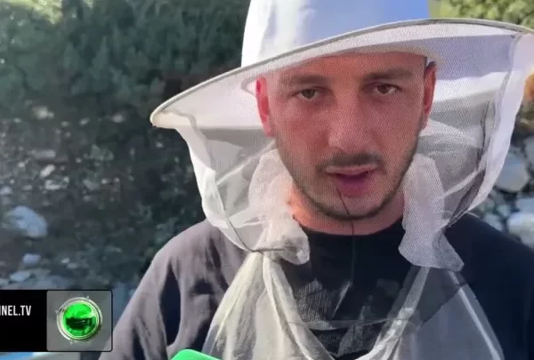 La emigrimin për vendlindjen, i riu prodhon mjaltë në Dukat