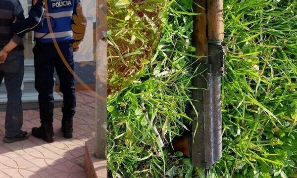Sherr për tokën, babë e bir shkojnë të vrasin dy vëllezërit